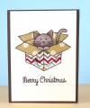 2013/11/25/Merry_Christmas_kitty_in_a_box_lower_res_by_JanaM.jpg