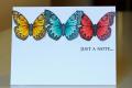 Butterfly_