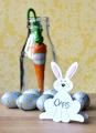 2014/03/25/Easter_Bunny_Place_Card_by_Aimes.jpg