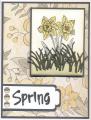 2014/03/27/MMTPT295_Spring_Daffodil_rjj_by_scootsv.jpg