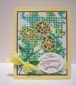 2014/05/04/stained_mesh_bouquet_hb_copy_by_ClassyCards.jpg