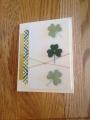 2014/05/05/St_Patricks_Day_card_2014_by_StampinDarlene.JPG