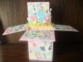 2014/05/07/pop-up_card_box_for_Funshop_002_by_auntpammy.JPG