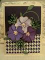 2014/05/17/Patch_of_Pansies_by_Precious_Kitty.JPG