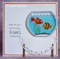 fishes_by_