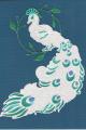 2014/07/29/White_Peacock_by_abuist.jpeg