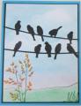 2014/08/11/Birds_on_a_Wire_by_Hawkeye_Stamper.jpg
