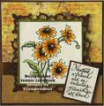 2014/08/13/stampendous_yellow_brown_daisy_copy_by_jennie_black.jpg