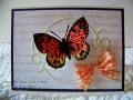 2014/08/22/It_s_A_Butterfly_Day_Diane_1_640x480_by_ClassyCards.jpg