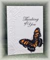 2014/12/24/CC510_Butterfly_Thinking_of_You_by_jodylb.jpg