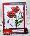 2015/01/02/ADFD_BD_Poppies_CO_1214_by_ChristineCreations.jpg