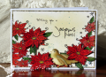 2015/10/09/birdonpoinsettiac22_by_Cook22.png
