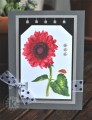 2016/02/07/Red-sunflower-tag-card_by_kitchen_sink_stamps.jpg