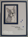 2016/02/20/jlo_boston_terriers_4_by_Forest_Ranger.png