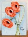 Poppies_or