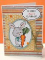 Carrots_bi