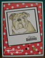 2016/03/21/jlo_bulldog_1_by_Forest_Ranger.png
