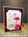 Flamingo_i
