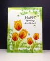 2016/05/23/tulip_time_OLC_by_beesmom.jpg