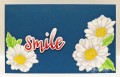 2016/05/29/CAS379-Daisy-Smile-hbs_by_hbrown.jpg