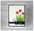 2016/05/30/flowers_2015_vol_22_1_Bows_-_Red_Tulips_card_cindy_gilfillan_by_frenziedstamper.jpg