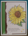 2016/06/01/may_swap_sunflower_2_by_Forest_Ranger.png