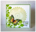 2016/08/08/doily_Turning_a_new_Leaf_PTI_butterfly_Hero_Arts_doily_stamp_smile_card_cindy_gilfillan_by_frenziedstamper.jpg