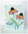 2016/08/26/flowers_TH_flower_garden_stampers_anonymous_xoxo_card_cindy_gilfillan_by_frenziedstamper.jpg