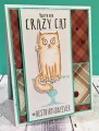 crazy_cat_