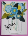 Bloom_on_b