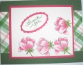 2016/11/12/Peony_Bouquet_on_Stamped_Plaid_by_Nan_Cee_s.jpg