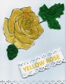 yellow_ros