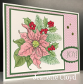 2016/12/20/pin_poinsettia_2_by_Forest_Ranger.png