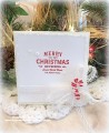 2016/12/23/Christmas_Card_by_melissa1872.JPG