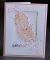 2017/01/25/Donna_s_Designs_-_Inset_Framed_Feather_-_Tickled_Pink_Card_by_countrymouse.jpg