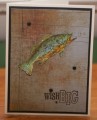 2017/03/19/wishfish2_by_mayodino.jpg