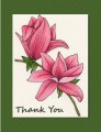 2017/03/27/magnolia-card_by_lilagrey.jpg