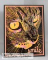 kitty-smil