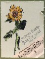 2017/04/08/IC592-Singing_Sunflower_by_BobbiesGirl.JPG
