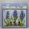 Hyacinths_