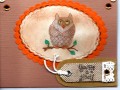 2017/04/28/show_me_your_owl_by_hotwheels.jpg