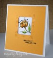 2017/05/13/sunflower_frame_it_out_by_NancyK_.jpg