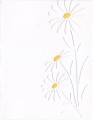 2017/05/24/Cuttlebug_-_Daisies_01_by_Bizet.jpg