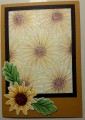 2017/05/25/sunflower_card_by_trip20bep.jpg
