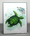 2017/06/08/Sea_Turtle_Jeanne_Streiff_by_Jeanne_S.jpg