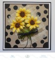 2017/06/10/gn-sunflower-with-black-dots_by_Selma.jpg