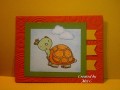 2017/06/21/Hello_Friend_Turtle_by_CardsbyMel.jpg