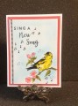 2017/06/29/sing_songIMG_7166_by_JustCallMeNana.JPG