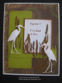 egrets_by_