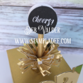 2017/12/14/Box_in_a_Card-Happy_New_Year-cpop_up_card-heers_to_you-countdown-midnight_kiss-fsj-fsjourney-funstampersjourney-deb_valder-3_by_djlab.PNG